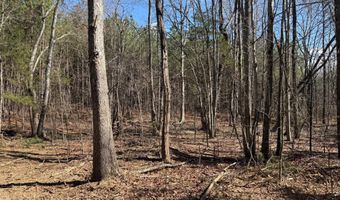 MOUNTAIN CUT RD lot D, Appomattox, VA 24522