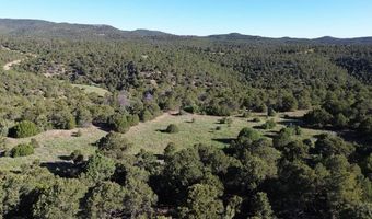 Picketwire Rd, Boncarbo, CO 81024