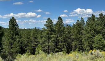 Lot 458 Torrey Pines, Angel Fire, NM 87710