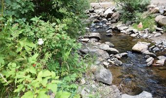 25653 Buckhorn Rd, Bellvue, CO 80512