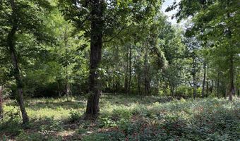 Lakeshore Drive lot 3, Bainbridge, GA 39819