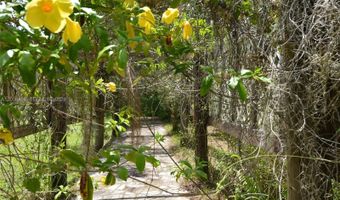 18220 Elmwood Dr, Alva, FL 33920