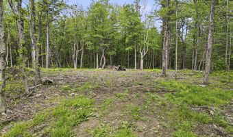 514 Fred Snow Rd, Becket, MA 01223