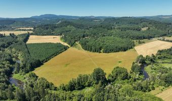 10090 HIGHWAY 202, Birkenfeld, OR 97016