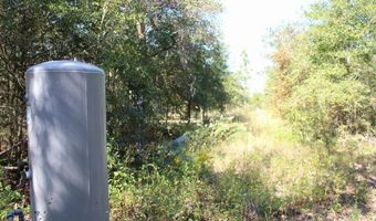 4667 NW Lake Shore Blvd, Altha, FL 32421