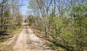 County Road 1687, Alba, TX 75410