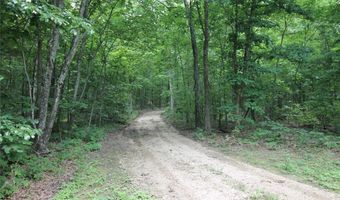3751 CR 1313 County Road 1313 Crane Lake Rd, Arcadia, MO 63621