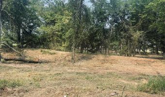 Lot 6 TBD County Road 1560, Alba, TX 75410