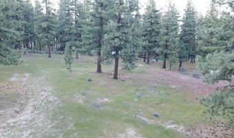 4300 Meadow Wood Rd, Carson City, NV 89703