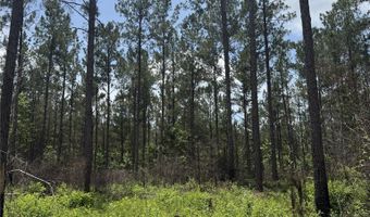 154 County Road 38 Acres, Banks, AL 36005
