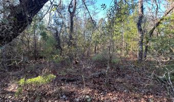 NW Lake McKenzie Rd, Altha, FL 32421