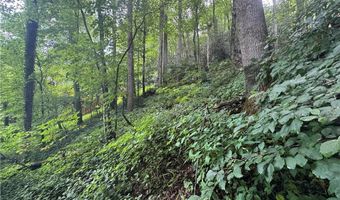 Tbd Clubhouse Drive, Banner Elk, NC 28604