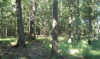 2200 Gillionville Rd, Albany, GA 31707