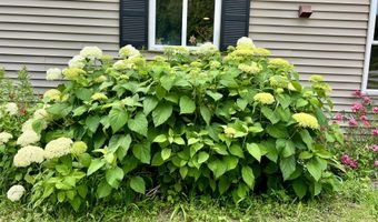 127 Swan Lake Ave, Belfast, ME 04915