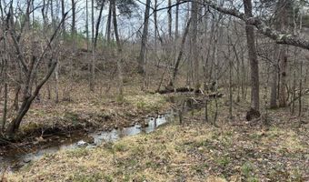 Old Courthouse Road, Appomattox, VA 24522