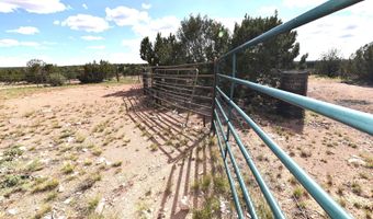 45437 N Jacqueline Hill Dr, Ash Fork, AZ 86320