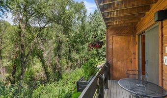 824 E Hopkins Ave 102 and 202, Aspen, CO 81611