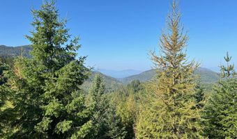 Tract 6 USFS 2294, Clark Fork, ID 83811