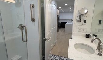 910 W Hallam St 12, Aspen, CO 81611
