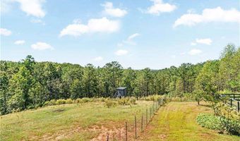 3547 Reavis Mountain Rd, Ball Ground, GA 30107
