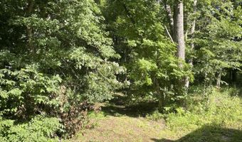 16569 Co Rd 14-533, Ava, MO 65608