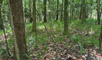 Highway 27, Attapulgus, GA 39815