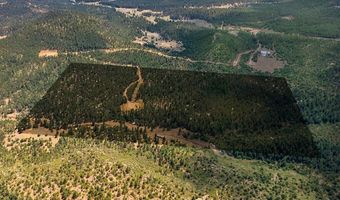 17775 County Road 51, Boncarbo, CO 81024