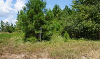 000 Stokes Rd, Bald Knob, AR 72010