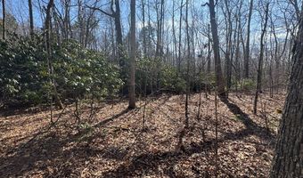 Brookstone Road lot 3, Bastian, VA 24314
