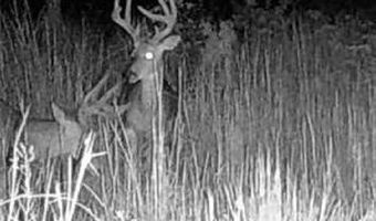 Off Hwy F, Annapolis, MO 63620