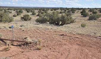 10 N9228, Concho, AZ 85924