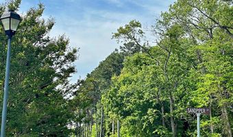 Lot 29 OYSTER COVE LANE, Atlantic, VA 23303