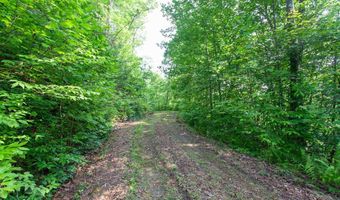 1200 Tobacco Branch Rd, Almond, NC 28702