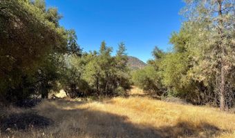 41902 Woodward Way, Ahwahnee, CA 93601