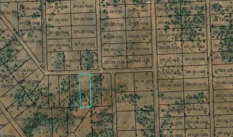 CR 5120, Concho, AZ 85924