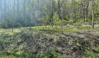 0 Martins Creek Rd, Barnardsville, NC 28709
