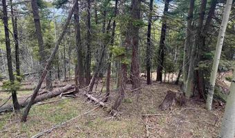 Lot 455 El Camino Real, Angel Fire, NM 87710