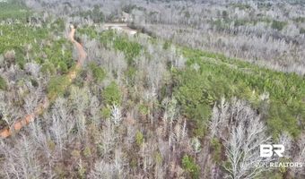 21000 Block Highway 21, Beatrice, AL 36425