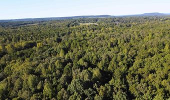 51 Shelton Rd, Bee Branch, AR 72013