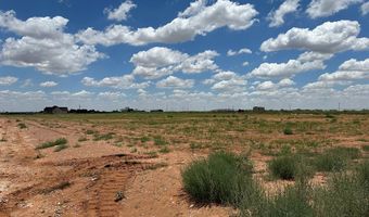 SE CR 2870, Andrews, TX 79714