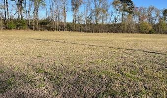 E SHIRE Drive, Berlin, MD 21811