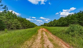 Harry Priddy Road, Americus, GA 31719