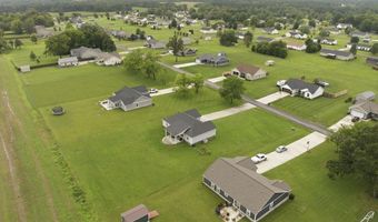 342 John Purdom, Almo, KY 42020