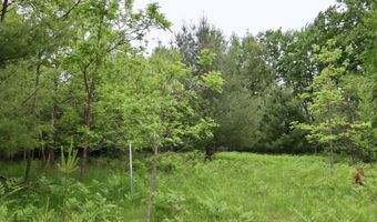 V/L Roseburgh, Alger, MI 48610