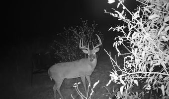 Tbd HCR-3112, Abbott, TX 76621