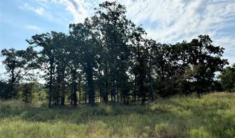 Lot 21 Rains County Rd 2610, Alba, TX 75410