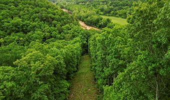 7064 County Road 14-223, Ava, MO 65608