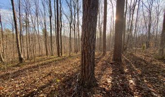 Muddy Ridge Rd, Adams, KY 41201