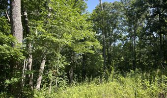 16569 Co Rd 14-533, Ava, MO 65608