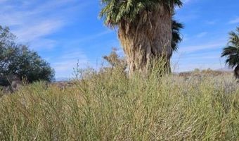 4855 Gold Butte Rd, Bunkerville, NV 89007